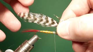 One Fly A Day  Professor Streamer [upl. by Semreh]