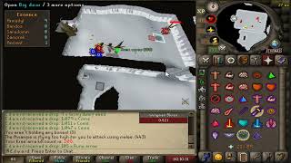 Bow of Faerdhinen  Crystal Shield Armadyl 15 Kill Trips [upl. by Kirsti]