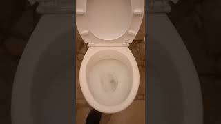 6 Cersanit President Toilet [upl. by Caputo]