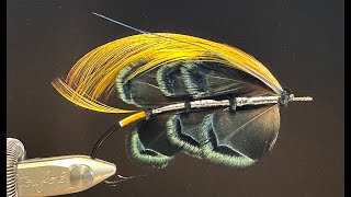 Live classic salmon fly tying tying Trahernes Black Prince part 2 [upl. by Wallack]