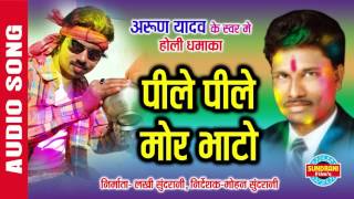 PILE PILE MOR BHATO  पीले पीले मोर भाटो  RANG BIRANGI  ARUN YADAV  Faag Geet  Audio Song [upl. by Yrneh]