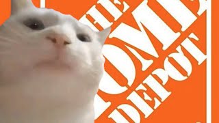 Cat Vibing to Home Depot Theme Song for 12 Hours [upl. by Tab]