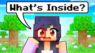 Whats Inside APHMAUS EYES In Minecraft [upl. by Farlie]