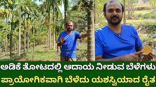 ಅಡಿಕೆ ತೋಟದಲ್ಲಿ ಆದಾಯ ನೀಡುವ ಅಧ್ಬುತ ಬೆಳೆಗಳು  Intercropping in arecanut  arecanut farming in kannada [upl. by Idola]