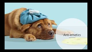 Gastrointestinal And Antiemetic Drugs VETERINARY TECHNICIAN EDUCATION [upl. by Morly]