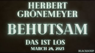 Herbert Grönemeyer  Behutsam Lyrics [upl. by Drofla]