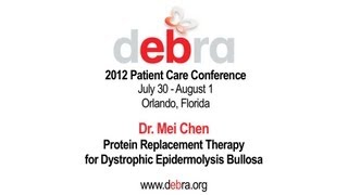 Dr Mei Chen  DebRA of America 2012 Patient Care Conference [upl. by Lednic4]