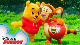 Playdate with Winnie the Pooh  Tigger and the Bouncy Ball  Episode 12  disneyjr [upl. by Goldie409]