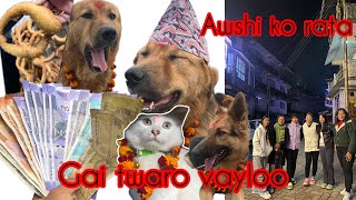 Diwali 🪔 special ❤️❤️vaylo vyalo vndi chw sara sansar duldi chw 👭👭 Kti hru lya darro arshibad giyoo [upl. by Ahcarb]