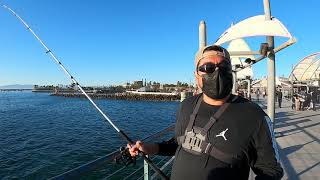 Pier Fishing  Redondo Beach [upl. by Anaujnas]