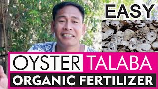 HOW TO MAKE ORGANIC FERTILIZER FROM OYSTERS SHELLS RICH IN CALCIUM EASY DIY GARDENING PHIL [upl. by Halilahk]