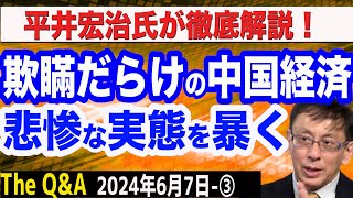 習近平が吹聴する「中国経済光明論」／欺瞞だらけの中国経済の実態とは？／平井宏治氏が徹底解説！ ③【The QampA】67 [upl. by Suanne]