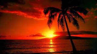 Musicas Havaianas Hawaii Aloha Hawaiian Music [upl. by Bazluke]