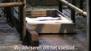 DeLaval Automatisch Voetbad AFB1000 [upl. by Jolda]