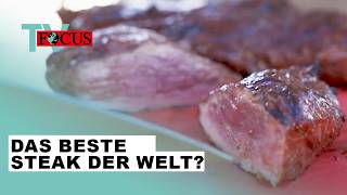 Wer grillt das beste Steak der Welt Die GrillWM in Stuttgart  Focus TV Reportage [upl. by Aisatan656]