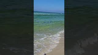 stingrays panama city beach [upl. by Aenitsirhc873]