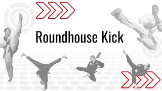 Roundhouse Kick Tutorial [upl. by Gnohp666]