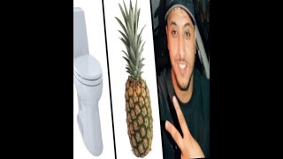 Toilet Ananas Nasdas Tiktok Meme Compilation [upl. by Enieledam312]