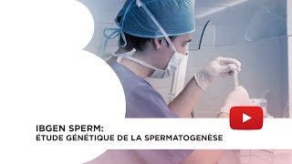 IBgen Sperm étude génétique de la spermatogenèse [upl. by Darb]