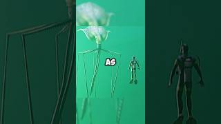 Alien squid😱shorts animals viralvideo fyp [upl. by Adlin390]