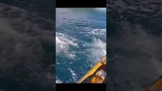 Shark attacks fisherman 😱 foryou fishing shark [upl. by Clancy377]