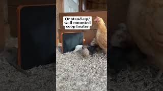 Got our chicken coop an upgrade with this best chicken coop heater this chilly winter chicken [upl. by Yorztif207]