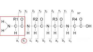 Mass spectrometry for proteomics  part 2 [upl. by Nesyrb]