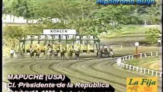 Mapuche USA Cl Presidente de la República  oct131996  Revista La Fija [upl. by Hehre397]