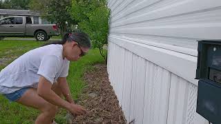 planting flowers sweet William with relaxing music from YouTube studio music vlog and nature [upl. by Rebeka696]