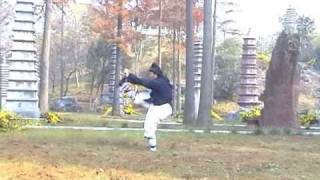 Wudang Kungfu  Fuhu Quan Tiger Form 武当武术伏虎拳 [upl. by Tower]