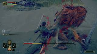 Leonine Misbegotten  Elden Ring  No Shield  No Summon  Dual Katana Raw Combat Gameplay [upl. by Llevad]