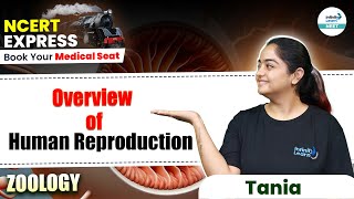 Overview of Human Reproduction  NEET 2025 Zoology  📚 NCERT Line by Line  InfinityLearnNEET [upl. by Beckerman]