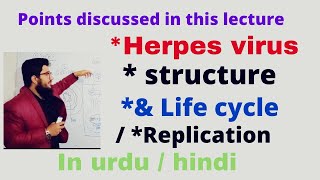 herpes virus structure of herpes virus life cyclereplication of herpes virus more In UrduHindi [upl. by Melda402]