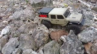 SCX24 GLADIATOR at Family Beach [upl. by Windsor]