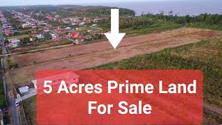 5 Acres of Prime Land for Sale in Corentyne Berbice  Guyana 🇬🇾 [upl. by Mohandis]