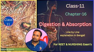 Digestion and Absorption Class 11 for NEET Harunbiozone [upl. by Hanas344]