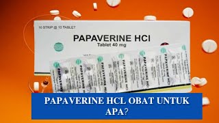 PAPAVERINE HCI OBAT APA Manfaat Efek Samping dan Dosis Penggunaan [upl. by Karrah]