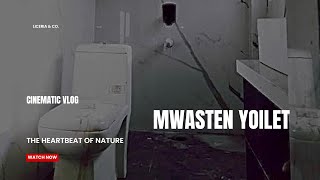 How to do installation with wallhaing Toilet 🚽 CEAT [upl. by Sturdivant82]