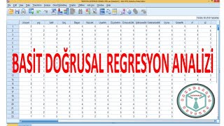 Basit Doğrusal Regresyon Analizi  Simple Linear Regression Analysis [upl. by Kcerred]