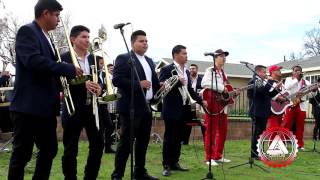 T3R Elemento Ft Banda Real De Sinaloa  Rafa Caro  En Vivo  2017 [upl. by Arron105]