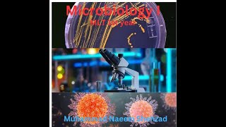 Oxidase test in Microbiology Lab Microbiology i MLT 1st year by Muhammad Naeem Shehzad [upl. by Oidgime993]