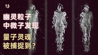 科學家發現幽靈粒子中微子！人類靈魂被捕捉到！它無形可以穿越一切？宇哥與小糖 [upl. by Llib]