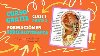 CURSO GRATIS FORMACIÓN EN AURICULOTERAPIA  CLASE 1  SEGUNDA PARTE  ACU SYSTEMS [upl. by Eilesor]