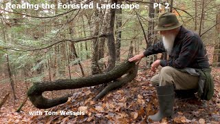 Tom Wessels Reading the Forested Landscape Part 2 [upl. by Jolee]