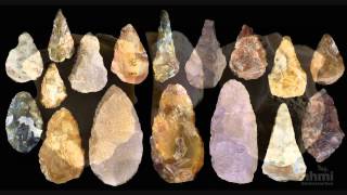 Stone Tool Technology of Our Human Ancestors — HHMI BioInteractive Video [upl. by Annairoc36]