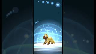 Evolving Shiny Poochyena in pokemongo pokemon shinypokemon [upl. by Anrat]