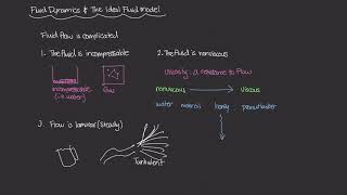 The Ideal Fluid Model Physics of Fluid Mechanics 39 [upl. by Elyrpa765]