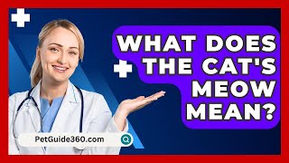 What Does The Cats Meow Mean  PetGuide360com [upl. by Snow]