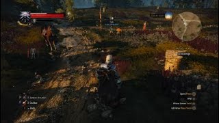 The Witcher 3 Wild Hunt The Apiarian Phantom [upl. by Virnelli115]