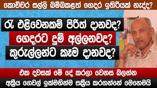 ගෙදරට කිරි ඉතිරෙන්න මේ දේ කරන්න  අක්‍රීය නිවාස සක්‍රීය කරගන්න හැටි  vastu tips  sinhala [upl. by Moazami]